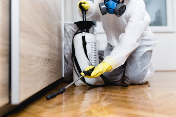 Best Residential Pest Control  in Lonville, GA