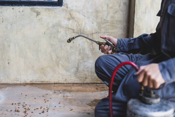 Best Wasp Removal Services  in Lonville, GA